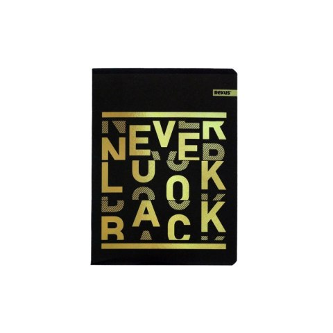 Beniamin Zeszyt płótno gold Beniamin (610227)