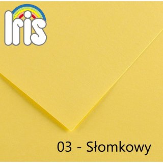 Canson Brystol Iris 03 A4 słomkowy 120g 100k Canson (200040002)