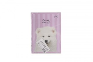 Interdruk Zeszyt Interdruk PUPPY SIGN A5 32k. 70g linia kolor