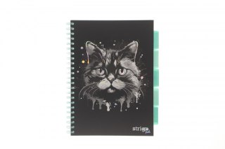 Strigo Kołozeszyt (kołonotatnik) ANIMALS CZARNY A4 100k. 80g krata Strigo (PADS019)