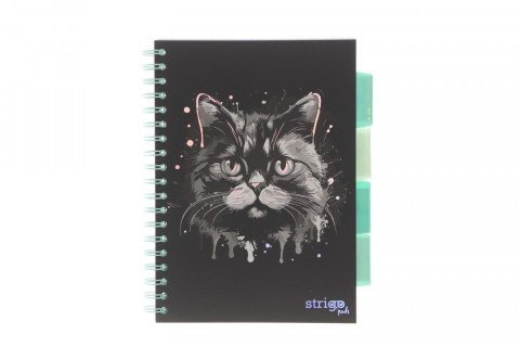 Strigo Kołozeszyt (kołonotatnik) ANIMALS KOT CZARNY B5 100k. 80g krata Strigo (PADS023)