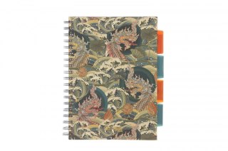 Strigo Kołozeszyt (kołonotatnik) PADS JAPONIA B5 100k. 80g krata Strigo (PADS065)