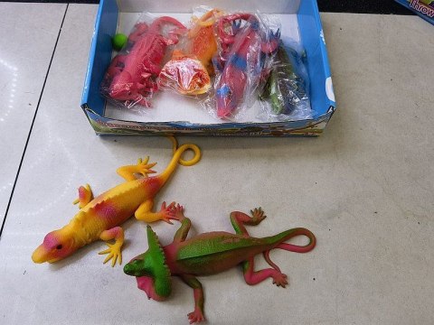 Adar Gniotek jaszczurka Adar (595781)