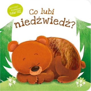Zielona Sowa Książeczka edukacyjna Co lubi niedzwiedz? Zielona Sowa