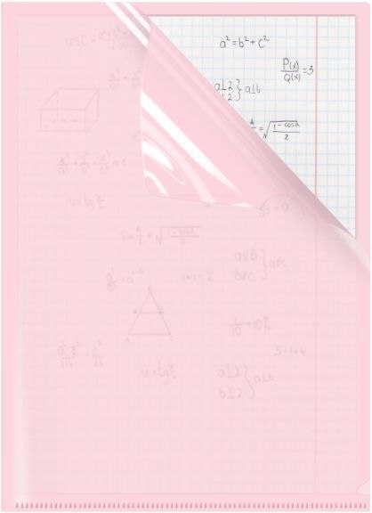 Biurfol Ofertówka A4 kolor: różowa typu L Biurfol (OFP-A4-01)