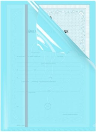 Biurfol Ofertówka A4 kolor: niebieska typu L Biurfol (OFP-A4-02)