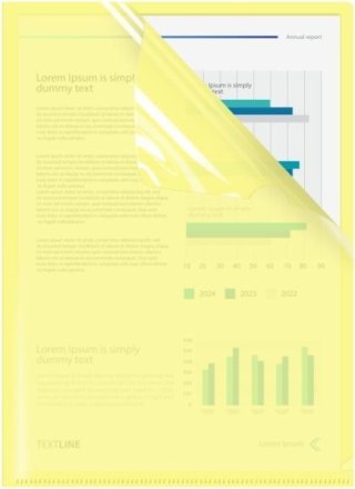 Biurfol Ofertówka A4 kolor: złota typu L Biurfol (OFP-A4-03)