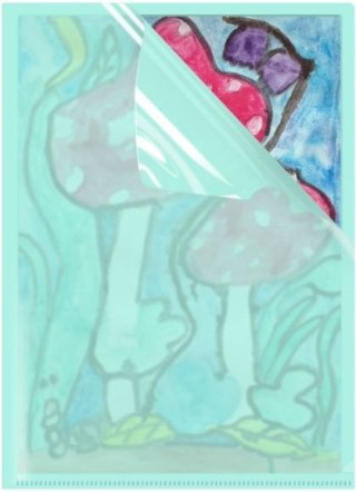 Biurfol Ofertówka A4 kolor: zielony typu L Biurfol (OFP-A4-04)