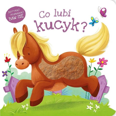 Zielona Sowa Książeczka edukacyjna Co lubi kucyk? Zielona Sowa