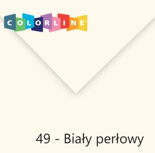 Canson Brystol Colorline 49 biały 150g 10k [mm:] 500x650 Canson (400110140)