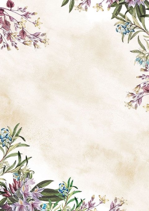 Galeria Papieru Papier ozdobny (wizytówkowy) umbria A4 100g Galeria Papieru