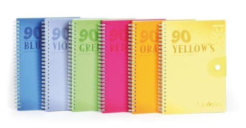 Mintra Kołozeszyt (kołonotatnik) lines 70g Mintra (90826)