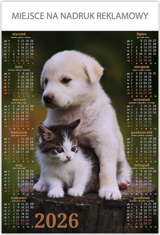 Telegraph Kalendarz ścienny PRZYJACIELE plakatowy 670mm x 988mm Telegraph (18)