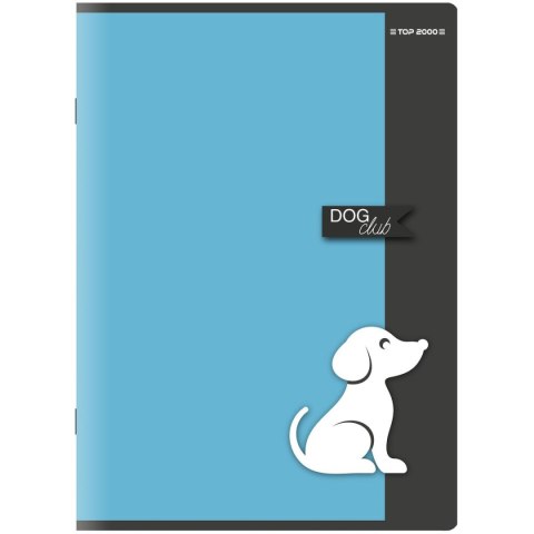 Top 2000 Zeszyt PP STANDARD A4 60k. 70g krata Top 2000 (400150818)
