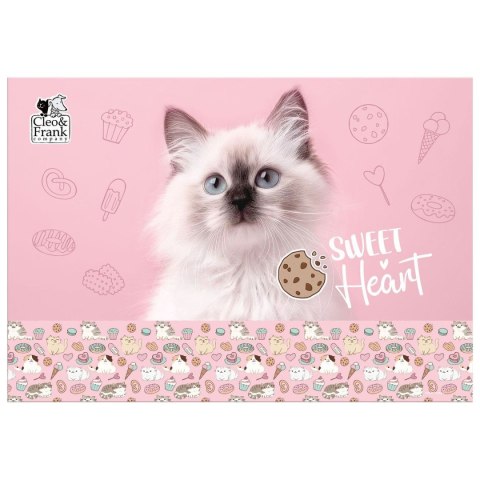 Derform Podkład na biurko mix tektura Derform (POCF45)