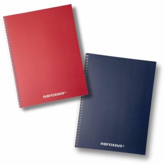 Narcissus Notes (notatnik) Swing Mono A4 80k. krata Narcissus