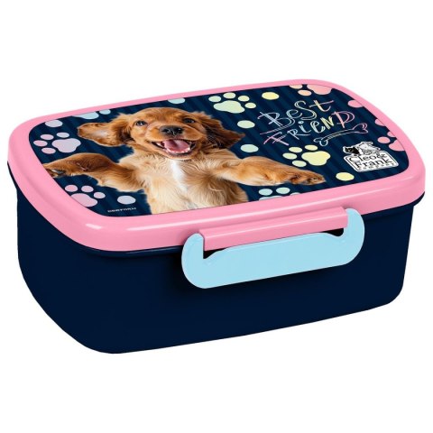 Derform Śniadaniówka Derform (SACF44)