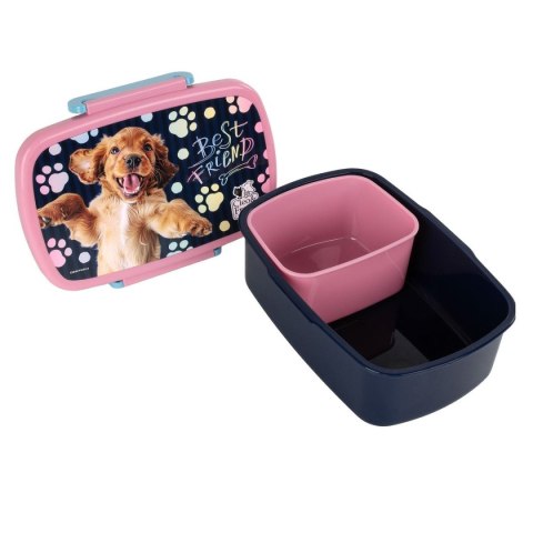 Derform Śniadaniówka Derform (SACF44)