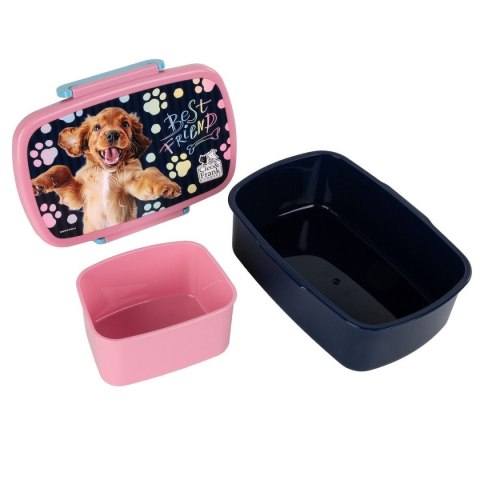 Derform Śniadaniówka Derform (SACF44)