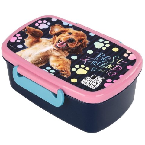 Derform Śniadaniówka Derform (SACF44)