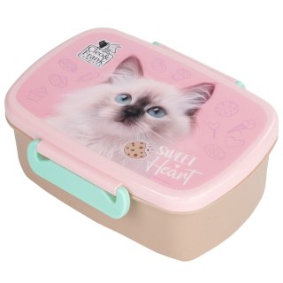 Derform Śniadaniówka Derform (SACF45)