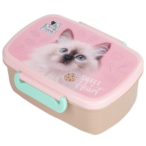 Derform Śniadaniówka Derform (SACF45)