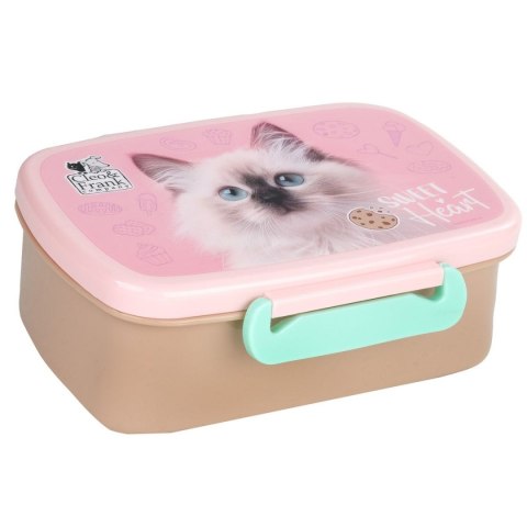 Derform Śniadaniówka Derform (SACF45)