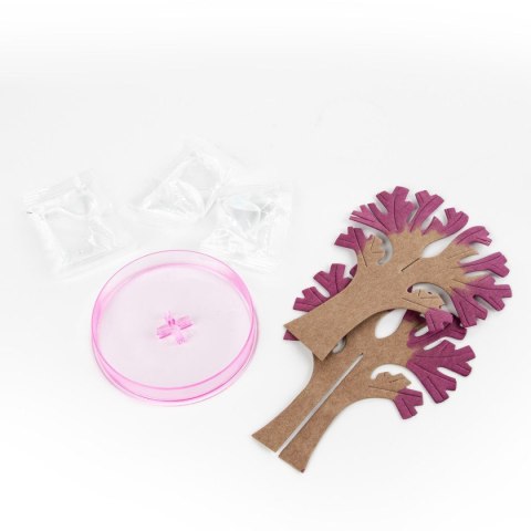 Kidea Zestaw kreatywny do składania Kidea (KDSKA)