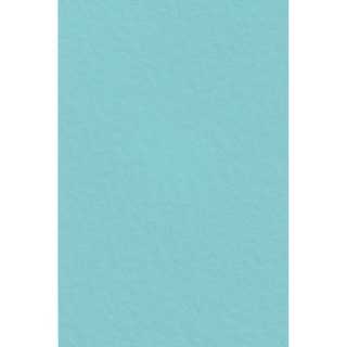 Interdruk Filc kolor: mix 5 ark. [mm:] 200x297 Interdruk (IFILCPAS)