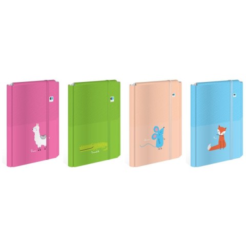 Interdruk Teczka ofertowa A4+ kolor: mix 1 kieszeni Interdruk (TEGUTOBB)