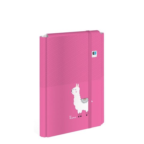 Interdruk Teczka ofertowa A4+ kolor: mix 1 kieszeni Interdruk (TEGUTOBB)