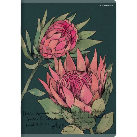Top 2000 Zeszyt FLOWERS A4 60k. 70g krata Top 2000 (400169430)