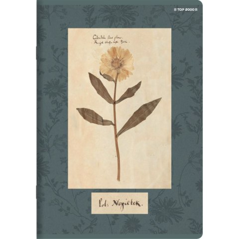Top 2000 Zeszyt FLOWERS A5 60k. 70g linia Top 2000 (400169420)
