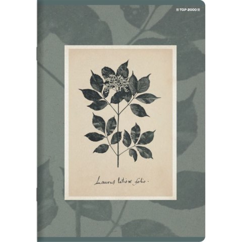 Top 2000 Zeszyt FLOWERS A5 60k. 70g linia Top 2000 (400169420)