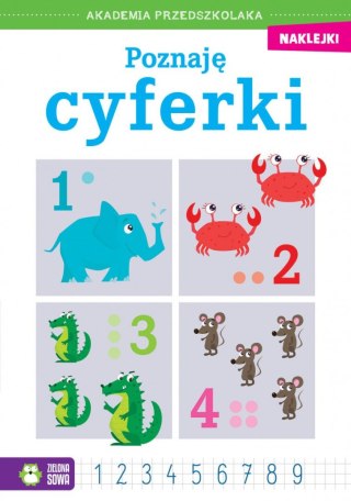 Zielona Sowa Książeczka edukacyjna Akademia przedszkolaka. Poznaję cyferki Zielona Sowa