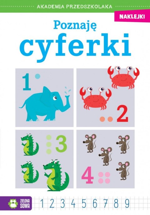 Zielona Sowa Książeczka edukacyjna Akademia przedszkolaka. Poznaję cyferki Zielona Sowa