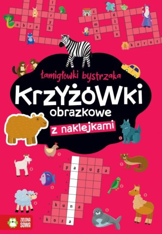 Zielona Sowa Książeczka edukacyjna Łamigłówki bystrzaka Krzyżówki obrazkowe Zielona Sowa