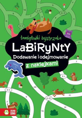 Zielona Sowa Książeczka edukacyjna Łamigłówki bystrzaka Labirynty. Dodawanie i odejmowanie Zielona Sowa