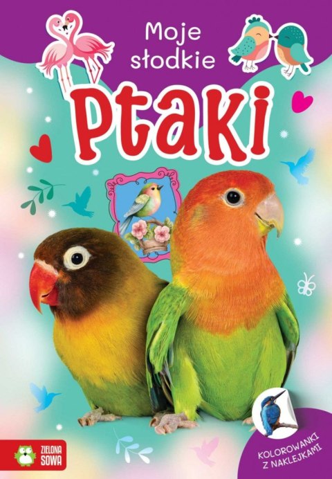 Zielona Sowa Książeczka edukacyjna Moje słodkie zwierzaki. Ptaki Zielona Sowa