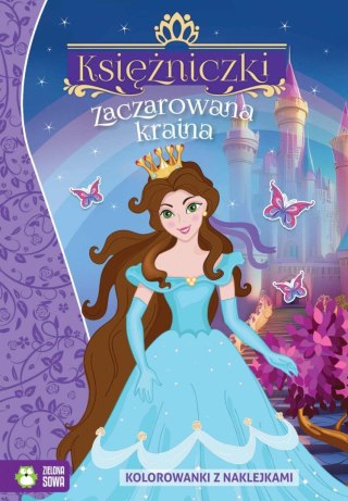 Zielona Sowa Książeczka edukacyjna Zaczarowana kraina Zielona Sowa