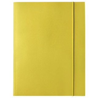 Bantex Teczka kartonowa na gumkę A4 mix Bantex (400114426)