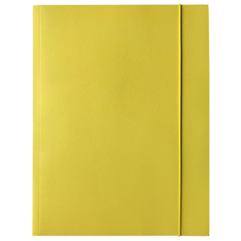 Bantex Teczka kartonowa na gumkę A4 mix Bantex (400114426)