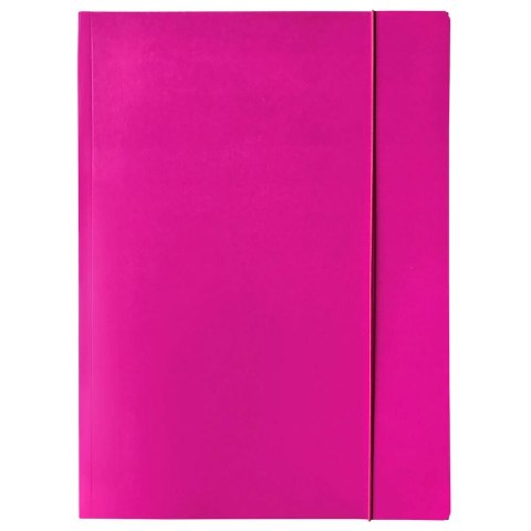 Bantex Teczka kartonowa na gumkę A4 mix Bantex (400114426)