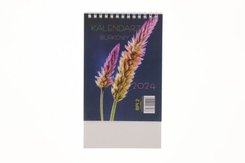 Darrieus Kalendarz biurkowy biurkowe 125mm x 160mm Darrieus