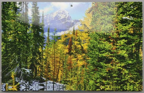 Darrieus Kalendarz ścienny ścienne Darrieus