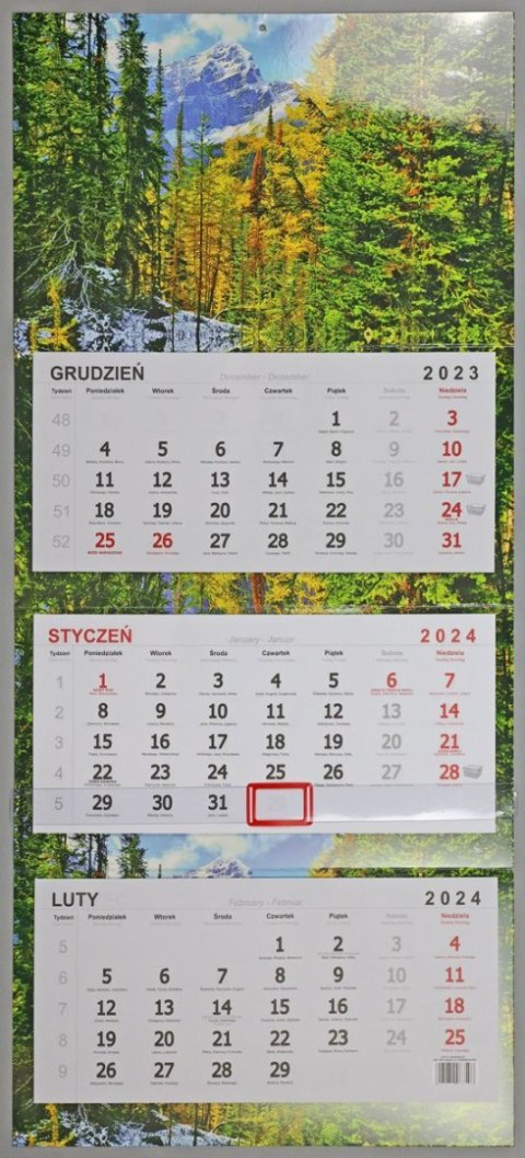 Darrieus Kalendarz ścienny ścienne Darrieus