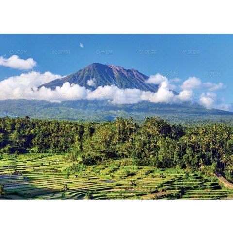 Lucrum Kalendarz ścienny 13-planszowe 320mm x 470mm Lucrum (RW11)