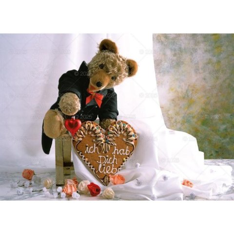 Lucrum Kalendarz ścienny MISIE rodzinny 280mm x 200mm Lucrum (WL11)