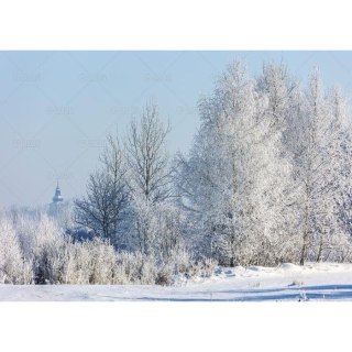 Lucrum Kalendarz ścienny Pejzaże Polski rodzinny 2023 280mm x 200mm Lucrum (WL03)