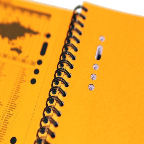 Oxford Kołozeszyt (kołonotatnik) International A5+ 80k. krata Oxford (100102880)